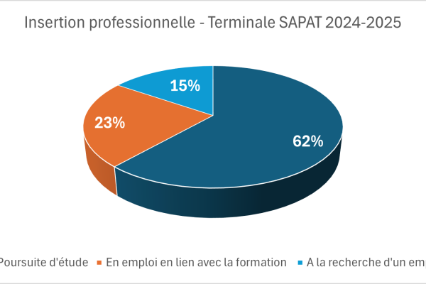 Insertion prof 2024-2025_Tle SAPAT