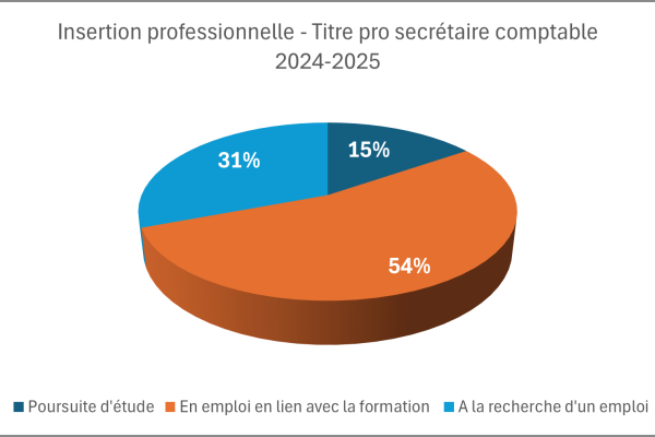 Titre pro SC_insertion pro 24.25
